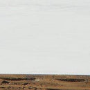 Ryandale Console Sofa Table