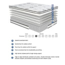 MT-PH12CK - 12" California King Hybrid Mattress